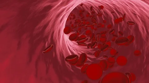 Red blood cells flowing through vein or artery Stock Footage 72172290