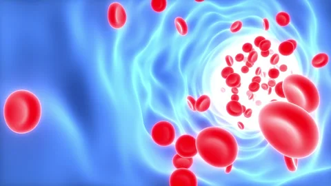 Red Blood Cells Flowing Through Circulatory System Animation Concept Stock Footage 286018030