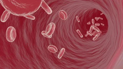 Red Blood Cells Flowing Through Vein - 3D Medical Animation Stock Footage 335964799