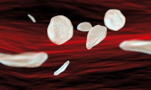 Red blood cells flowing through a blood vessel Stock Illustration