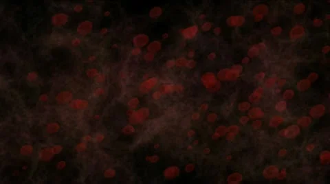 Red blood cells Stock-Footage 10823285