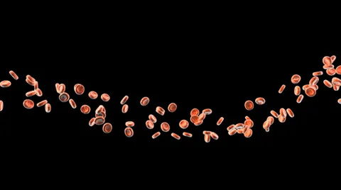 Red blood cells Stock Footage 32969223