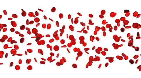 Red blood cells Stock Footage 40580843