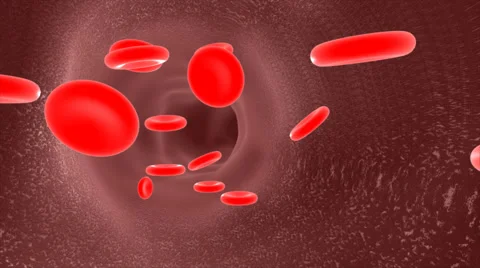 RED BLOOD CELLS Stock Footage 43059921