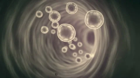 Red blood cells Stock Footage 61212541