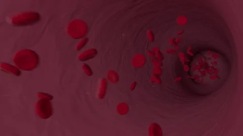 Red Blood Cells Stock Footage 74597448