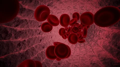 Red Blood Cells Stock Footage 103192144