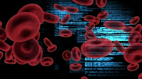 Red blood cells Stock Footage 107763869