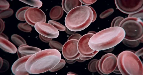 Red blood cells Stock Footage 108648276
