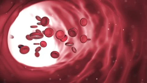 Red Blood Cells Stock Footage 121507310