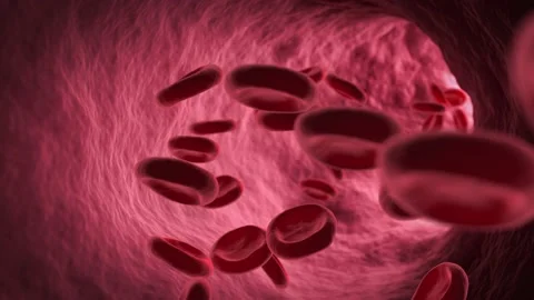 Red blood cells Stock Footage