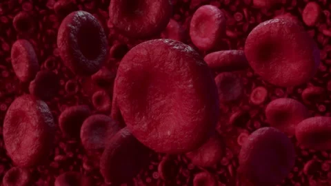 Red Blood Cells Video stock 157575841