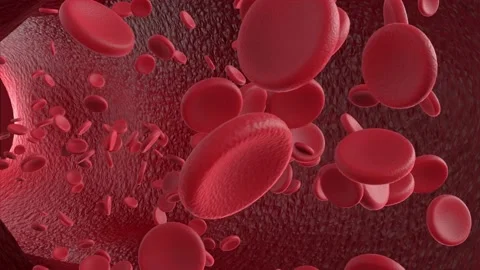 Red Blood Cells Stock Footage 208067991