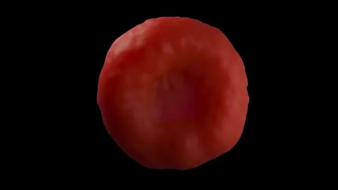 Red blood cells 库存影片 305632486