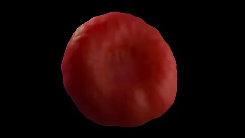 Red blood cells Vidéo 305632511