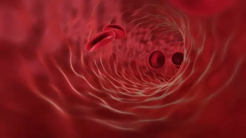 Red Blood Cells Human circulatory system. 3D loop animation of human blood Vídeo Stock 334589088