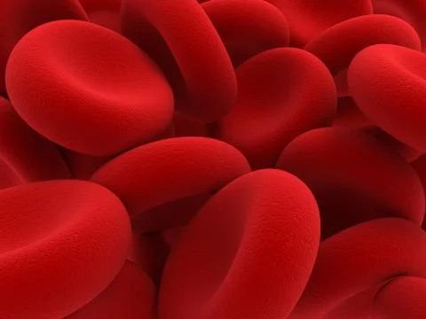 Red Blood Cells Stock Illustration