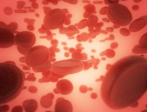 Red Blood Cells  Stock Illustration
