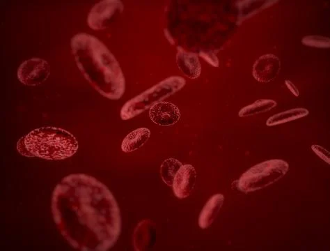Red Blood Cells  Stock Illustration