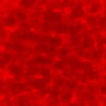 Red blood cells Illustrazione stock