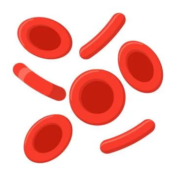 Red Blood Cells Stock Illustration