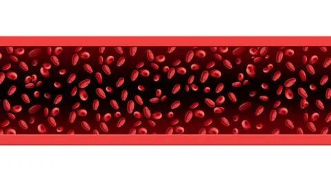 Red Blood Cells Stock Illustration