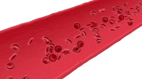 Red Blood Cells Loop Animation HD Stock Footage 39889169