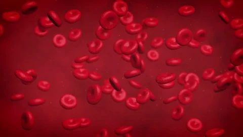 Red blood cells loop flowing 4K Stock Footage 81994400