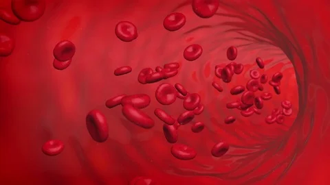 Red blood cells loop flowing inside vessel 4K Stock Footage 81995347