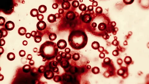 Red Blood Cells microscopic view inside body of particles bubble Stock Footage 193221241