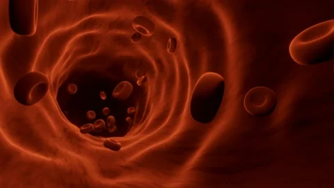 Red blood cells move through the blood vessel seamless looping animation Stock Footage 146278068
