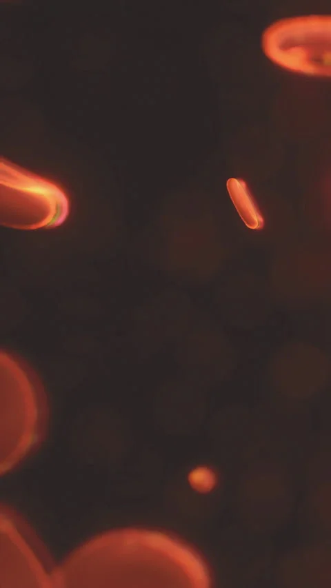 Red blood cells moving in a dark environment under a microscope view Stock Footage 336026016