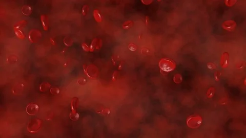 Red blood cells moving inside heart CG animation Stock Footage 83435401