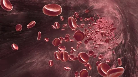 Red blood cells moving inside heart CG animation Stock Footage 83435440