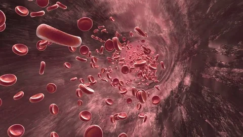 Red blood cells moving inside heart CG animation Stock Footage 83435639