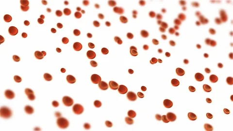 Red blood cells moving motion background... | Stock Video | Pond5