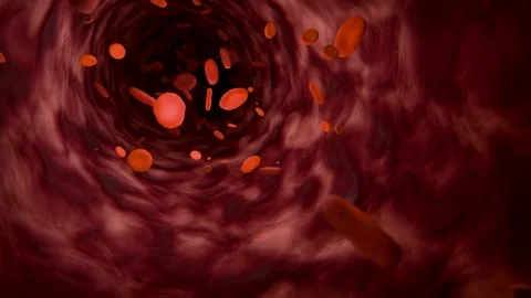 Red blood cells moving through a human vein or artery Stock Footage 333484637