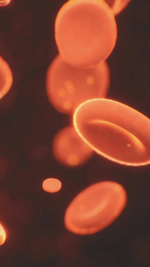 Red blood cells moving through a blood vessel in a human body Stock Footage 336174413