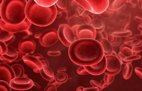 Red Blood Cells Stock Photos