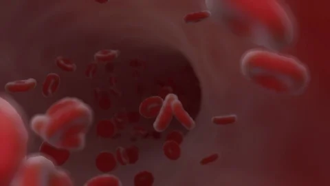Red blood cells rushing down an artery. Camera follows. Video stock 117805544