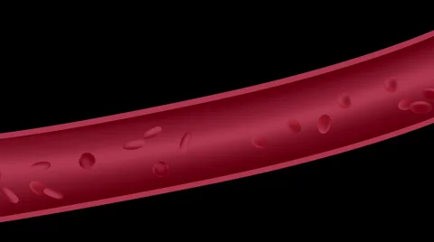 Red blood cells streaming in artery Stock Footage