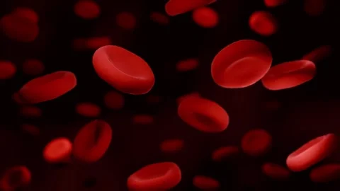 Red Blood Cells Under Microscope, Medical Science Background Video stock 329869346