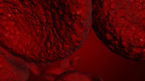 Red blood cells Use as a medical illustration is a 3d image Stock Footage 109362853