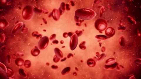 Red blood cells in the vein. 3D animation Human bloods vessel with many. Medical Vídeo Stock 334589448