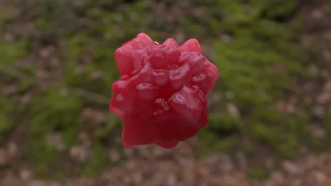 Red Blood Looping Floating Slime Ball Stock-Footage 150740599