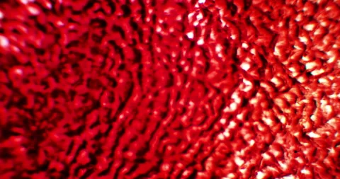 Red blood microscopic view inside body and particle cells flow bg texture Video stock 168707054