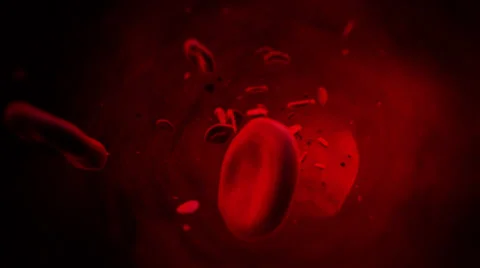 Red Bloodcels Stream Through Vain Stock Footage