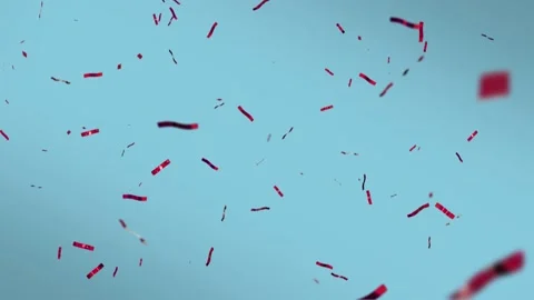 Red, blue background, green screen, seamless loop, chroma key, slow motion, conf Video stock 184011042