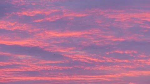 Red blue clouds in the morning sky at sunrise - flying seagull -  slow motion Stock Footage 138868257