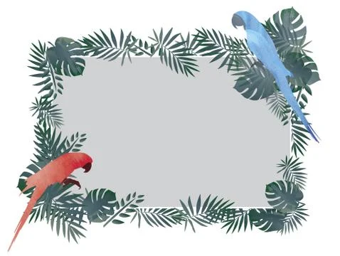Red / Blue Macaw bird and tropical green leaf frame pattern background Stock Illustration